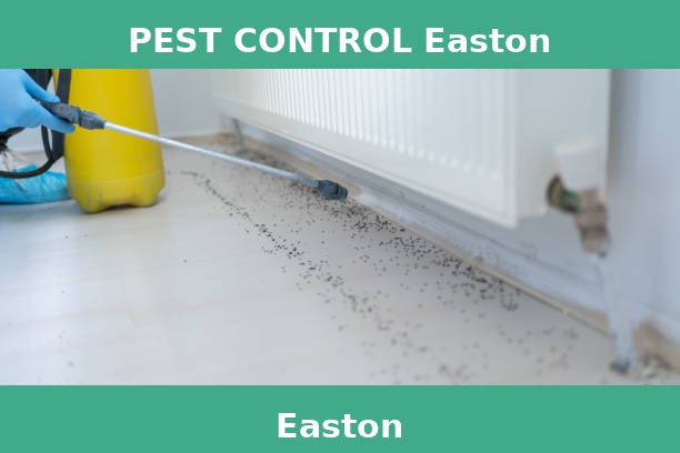 PEST CONTROL Easton